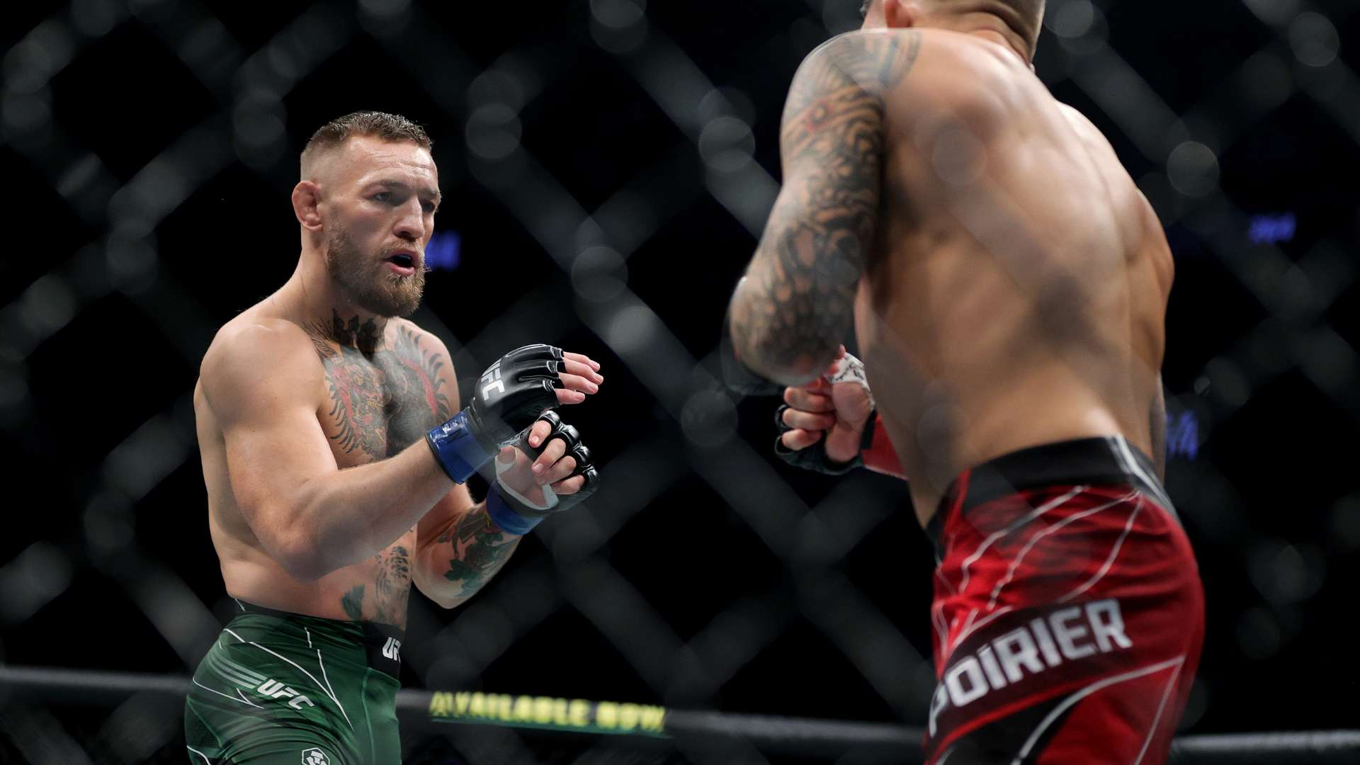 展依然充满 展依然充满